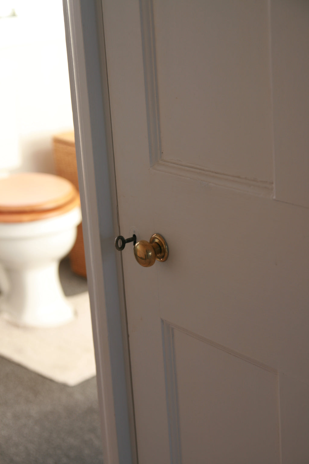 Cupboard Knob screw & Plate Polished Brass Hollow 32mm image 2