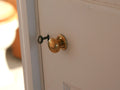 Cupboard Knob screw & Plate Polished Brass Hollow 32mm image 0