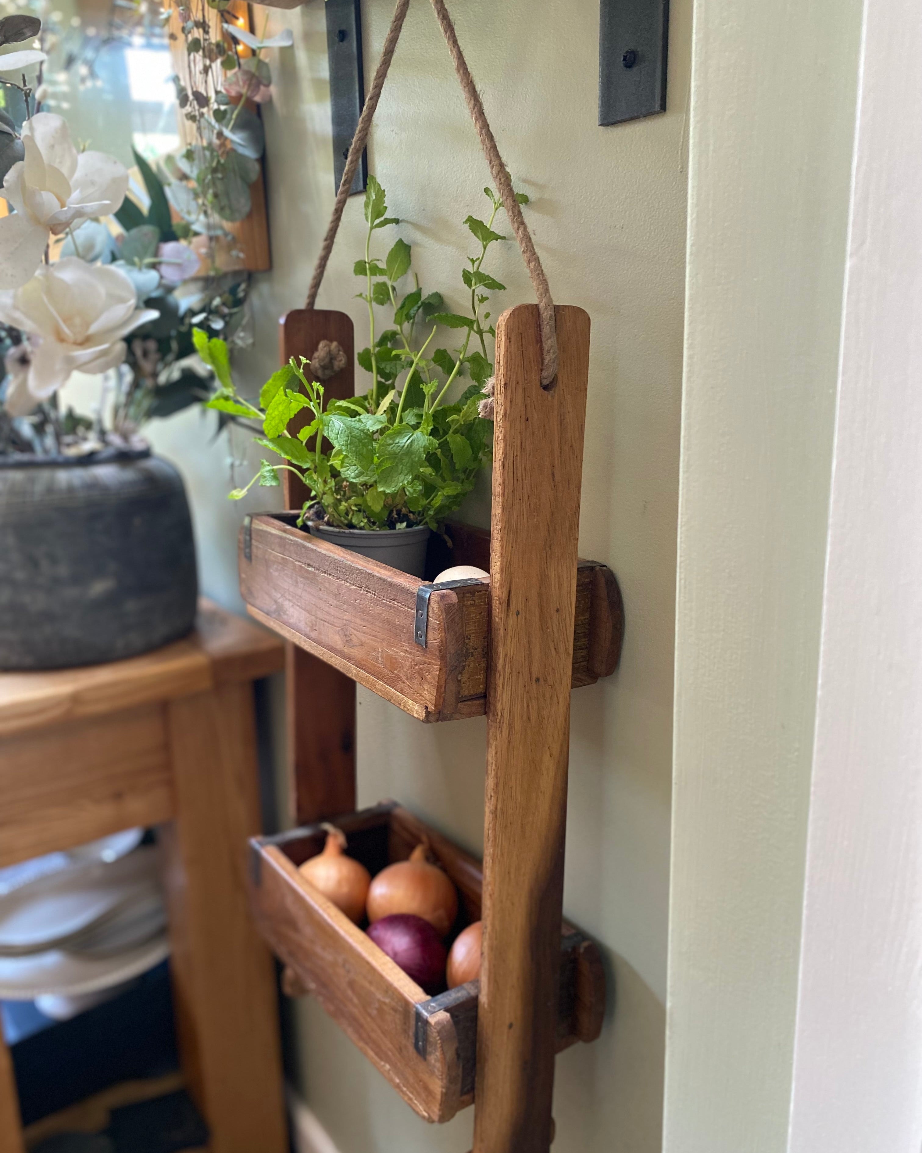 Wooden wall-mounted herb planter with herbs and onions in a home setting