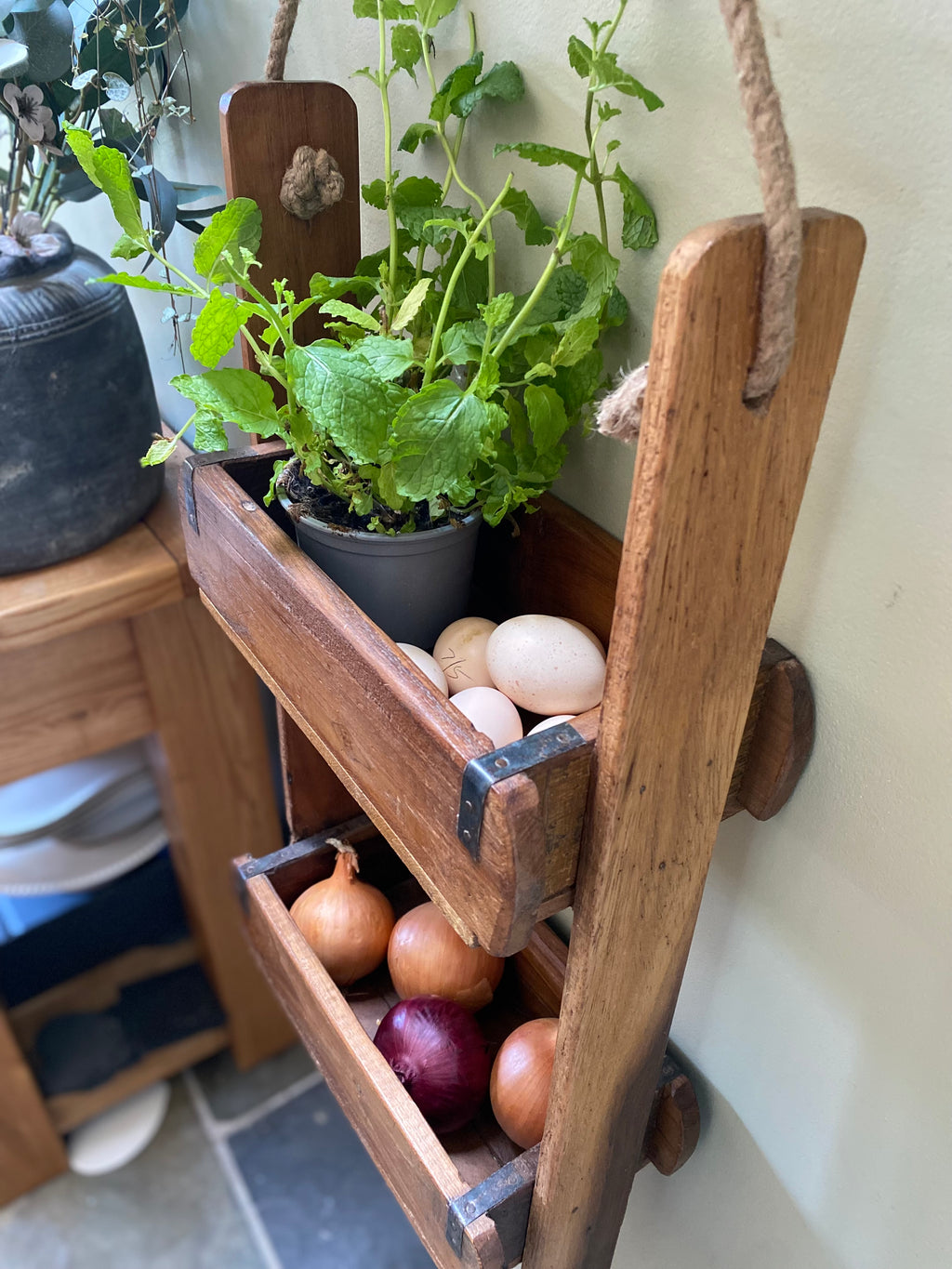 Wooden vegetable holder with onions and a plant on a kitchen counter.
